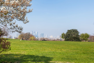 Wall Mural - Greenwich 