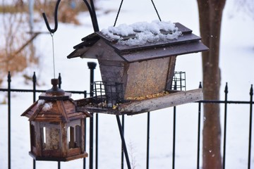 Wall Mural - Winter Bird Feeder