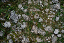 Gray Stones On Green Grass. Flat Lay