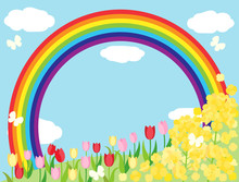 春素材12　菜の花　チューリップ 虹