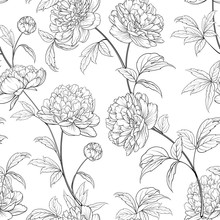 Seamless Wallpaper Of Of Peonies Flowers Elements. Digital Flat Illustration Of Blossom Peony Seamless Pattern From Elements On A White Background. Bouquet Of Peony. Decoration Isolated Against White.