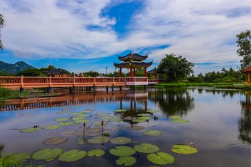 Tasik Melati, Perlis, Malaysia. One of the famous place 30 minutes from Kangar with amazing blue sky