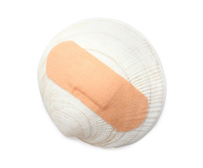 shell with sticking plaster isolated on white, top view