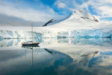 Wall Mural - sail yacht in lagoon with calm water and reflections in Antarctica