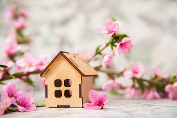 Small wooden cabin close-up and copy space. Miniature house, flowering branch in the spring. The concept of rush, purchase, exchange, home return and time.