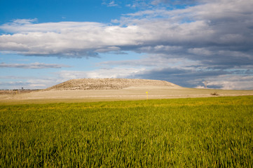 Green meadow under the blue sky with clouds.