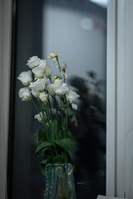 Fading White Flowers On The Window, Evening
