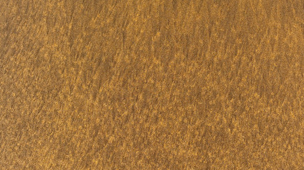 Sand texture. Sea sand on the shore close up. Seaside. Natural pattern. Yellow colour. Space for text.