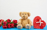Fototapeta Pokój dzieciecy - cute brown teddy bear sits on a blue wooden background, bouquet of red tulips, red box