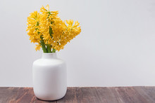Spring Yellow Flowers Hyacinth In A White Vase