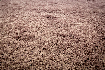 Poster - Close up view of carpet. Wall-to-wall carpeting background.