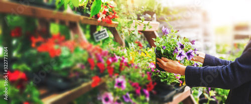 Fotografía woman pick petunia flower pot from shelf at garden plant nursery store