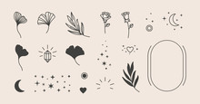Elements For Logo Design - Rose, Ginkgo Biloba Leaf, Stars, Moon, Frame. Vector Illustration In A Minimal Linear Style