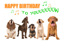 Group Of Dogs With Various Breeds Looking Up Singing On A White Background With The Text Happy Birthday To You