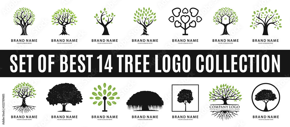 set of best tree logo collections, perfect for company logo or branding. - obrazy, fototapety, plakaty 