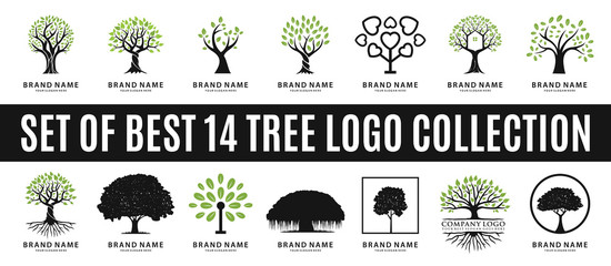 set of best tree logo collections, perfect for company logo or branding.