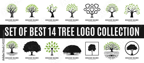 Cuadros en Lienzo set of best tree logo collections, perfect for company logo or branding