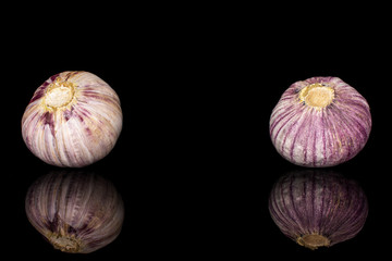 Wall Mural - Group of two whole fresh purple single clove garlic isolated on black glass