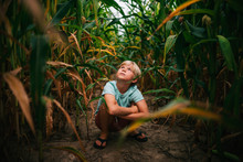 Boy Crouching In A Corn Field, USA
