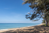 Fototapeta Sawanna - Ocean view and white sand beach with blue sky and a branch of pine tree background