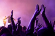 crowd cheering and hands raised at a live music concert
