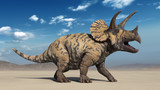 Fototapeta  - Triceratops, dinosaur reptile roaring, prehistoric Jurassic animal in deserted nature environment, 3D illustration