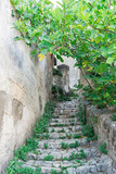 Fototapeta Natura - Small alley with stairs in Sassi of Matera, Italy.
