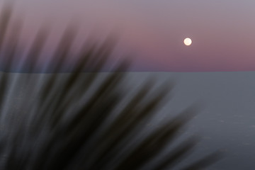 Wall Mural - A full moon during sunset at White Sands National Park. 