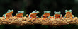 Flying frog on branch, beautiful tree frog on green leaves, rachophorus reinwardtii, Javan tree frog