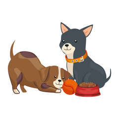 Poster - cute dogs with dish food and ball toy