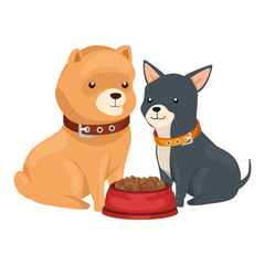 Poster - cute dogs with dish food isolated icon