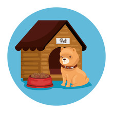Cute Dog With Wooden House And Dish Food