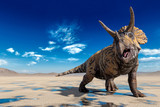 Fototapeta  - triceratops doing a cool pose on the desert walking after rain