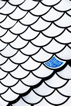 Close-up Fish Scale Pattern. Abstraction. One Blue Flake Stands Out On A White Background