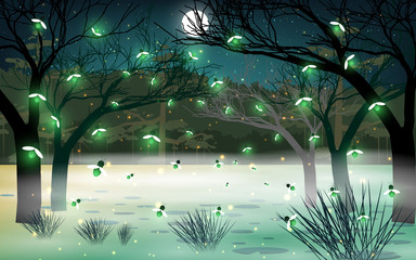 Wall Mural - firefly at the river in the night	