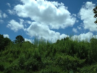 clouds in the bright sunny sky