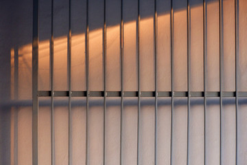 Wall Mural - Sunlight and shadow on surface of the old iron fence gate opening with cement wall background