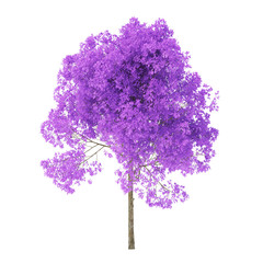Wall Mural - Tree on a white background. Tree with purple foliage. Clipping path included. 3D rendering.