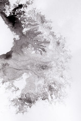 Aufkleber - abstract black splashes on white watercolor paper. monochrome image.