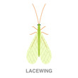 lacewing flat icon on white transparent background. You can be used black ant icon for several purposes.	