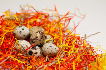 Easter colored eggs on the grass. Greeting Easter background. Funny and sweet smiles, the Concept of the Easter festival, religion.