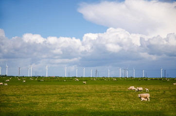 Windmills for electric power - Energy Production with clean and Renewable Energy with green field and sheep. Landscape with windmills and sheep. English countryside, Britain. Eco energy concept. 