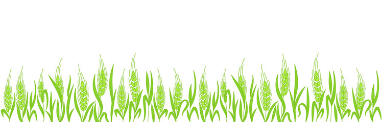 Cereal field. Ears of wheat. Agriculture straw. Green rye grass. Contour line vector. Copy space. Horizontal banner.