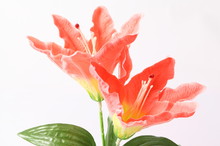 Orange Lily Artificial Flowers On White Background.