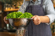 Woman chef is pouring water over a sieve filled with fresh, healthy, organic lettuce.