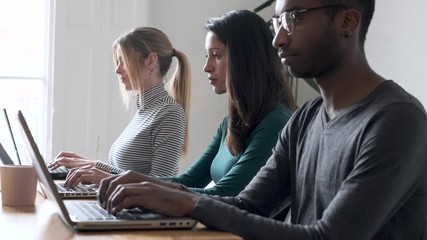 Video of line of concentrated employees working with laptops on coworking place.