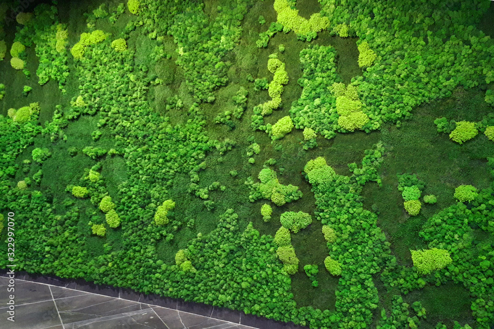 green moss wall in the lobby of a modern office - obrazy, fototapety, plakaty 