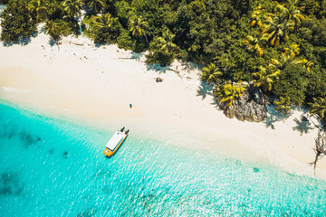 Aerial top down view of paradise beach with coconut trees and lonely tourist boat in turquoise shallow lagoon water