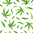 © Olha - Seamless pattern with realistic cannabis leaf