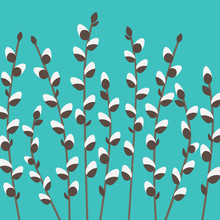 Willow Catkins Twigs- Vector Illustration